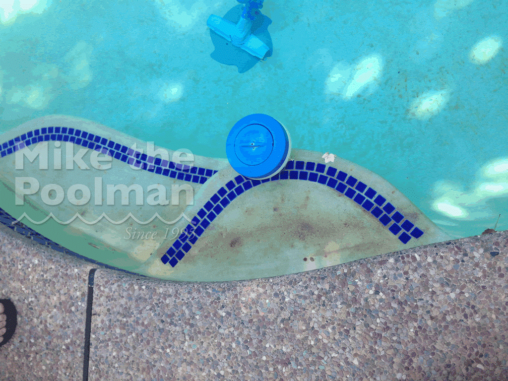 poolfloaterstain • Mike the Poolman