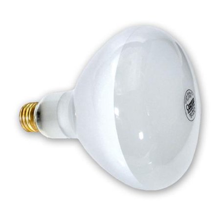 Bulb replacement deals