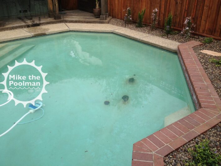 Pool-Rebar-23