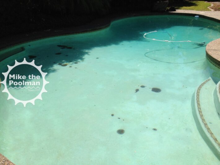Pool-Rebar-25