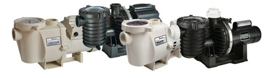 We have Variable Speed Pool Pumps in stock