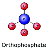 Phosphates in Folsom pool water