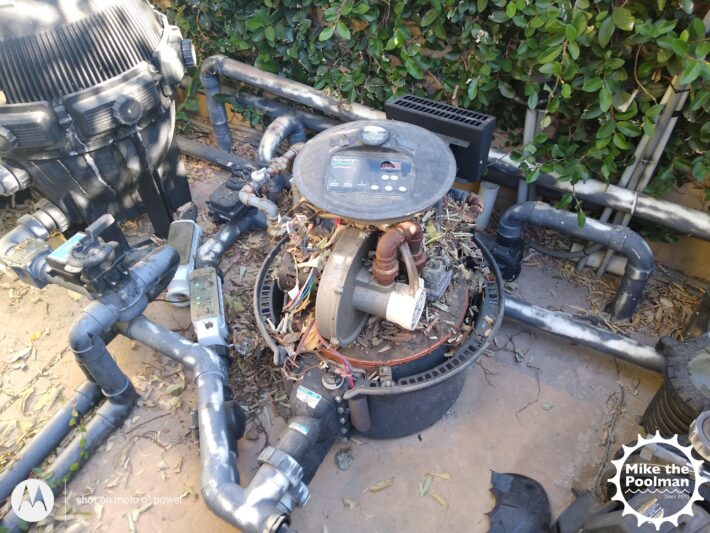Rats made their home in this heater
