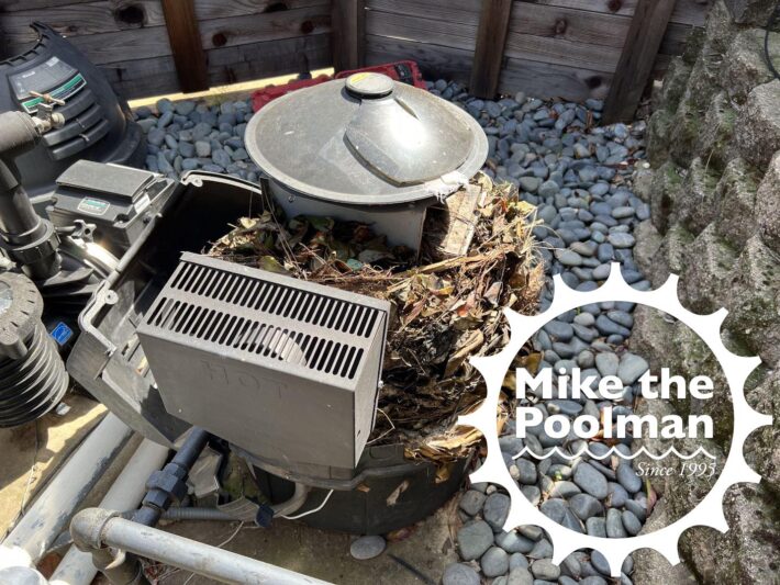 Swimming Pool Heater w rats nest