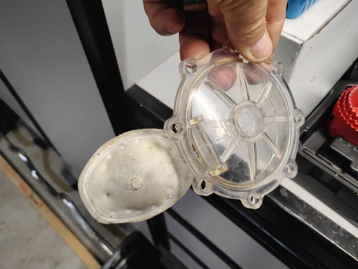 Swimming pool check valve guts