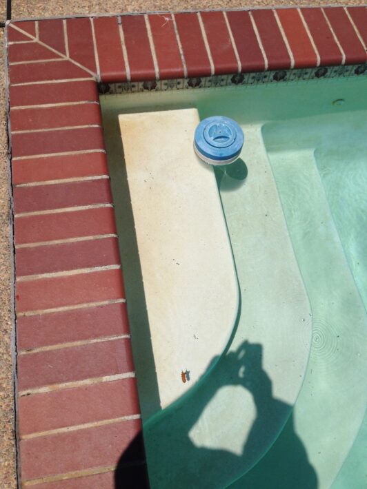 pool floater stains